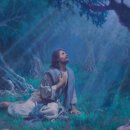 성약국 - 수원시 팔달구 덕영대로 695 | 디모데전서 4장 주석, 2026년 7월 6일, Commentary on 1 Timothy 4
