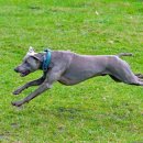 무크스페이스 이미지