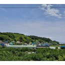 상발농장 Daum카페