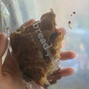 브레드백(용봉직영점)