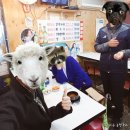 한양전집 네이버블로그