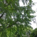 동아대학교병원 이미지