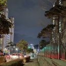 파리바게트죽림점 네이버블로그