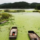 신비로-8 이미지