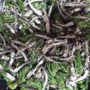 장터반찬 이미지