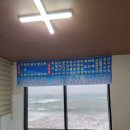 제주도 여행 3-4일차 덴드리 감귤밭 카페/ 카츠소랑/ 표선얼큰이와피자디노/ 비밀의 숲