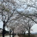 옛고을 회관 이미지