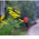 펜션 마타리 이미지