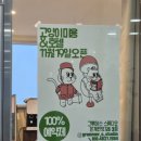 그루머스 스튜디오 이미지