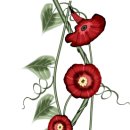 우리들이 보는 세상 이미지