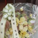 네모공인중개사사무소 이미지