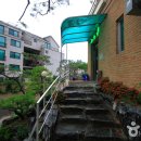 소나무집 이미지