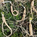 순박산골 이미지