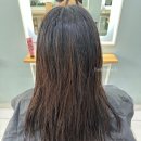 살롱엘(salon L)