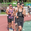 아르피아 이미지