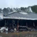 전남 약산면-4 전남일보