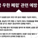 가야스파벨리 네이버블로그