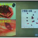 동산내과 네이버블로그