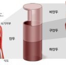 커피(coffee) 이미지