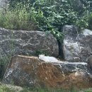 좋은아침(성화점) 이미지