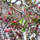 한아름홈쇼핑(주) 이미지