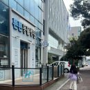 제주축산업협동조합 동물병원 | [제주시 이도이동 동물병원 추천] 튼튼동물병원 중성화수술·유치발치 솔직 후기 (내돈내산)