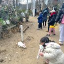 경주 산내 국민힐링파크 눈썰매장 카누체험 후기
