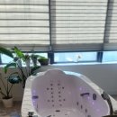 하로스파 이미지