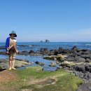 은이농장 이미지