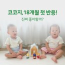 코코지 하우스 | 코코지하우스 후기｜18개월 아기 언어발달, 아띠 첫 반응은?