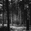 일중농장 이미지