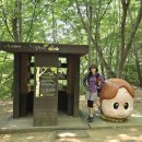 제 57차 월요일 도보/ 성라산 / 6월 15일 / 함께 걸어주신 분들 이미지