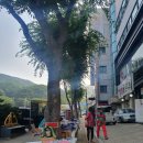 성남 남한산성 쿨토시 팔토시 파는 곳