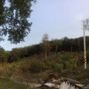 좋은땅부동산공인중개사사무소 이미지