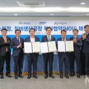 피엔피 이미지