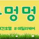 킁킁멍멍 이미지