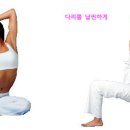 퍼팩트라인 이미지