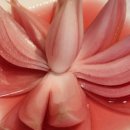 오늘식당 이미지