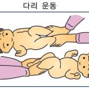 프란시아가구