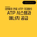 가정동헬스장 - 운동할 때 중요한 ATP가 뭔데!?