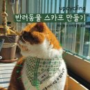 재니들