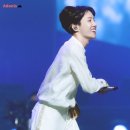 홉아트