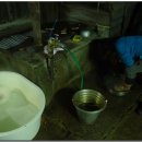 향호농장 이미지