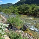 선야봉캠핑장 이미지