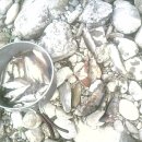 웰컴투오미골 이미지