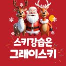 네이처컬렉션곤지암점 | 그래이스키 지산 스키강습, 드디어 두려움 극복하고 즐기게 됐네요