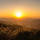 서강목장 이미지