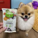 밥통소프트 이미지