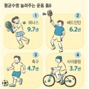 "이 운동 하면 10년 더 산다" 3위 축구, 2위 배드민턴, 1위는? 이미지