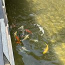 쥬니멀 | 청주가볼만한곳 추천｜아이와 가기 좋은 청주실내동물원 쥬니멀 동물원 후기